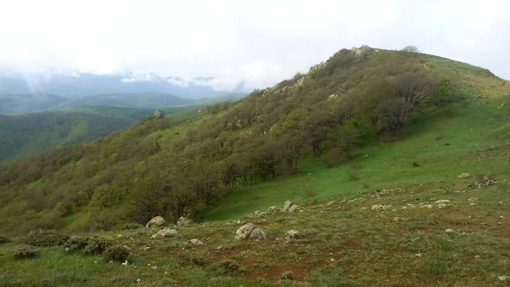 بوشهر چت - چت روم بوشهر گپ - ادرس جدید بوشهر چت - چت بوشهر