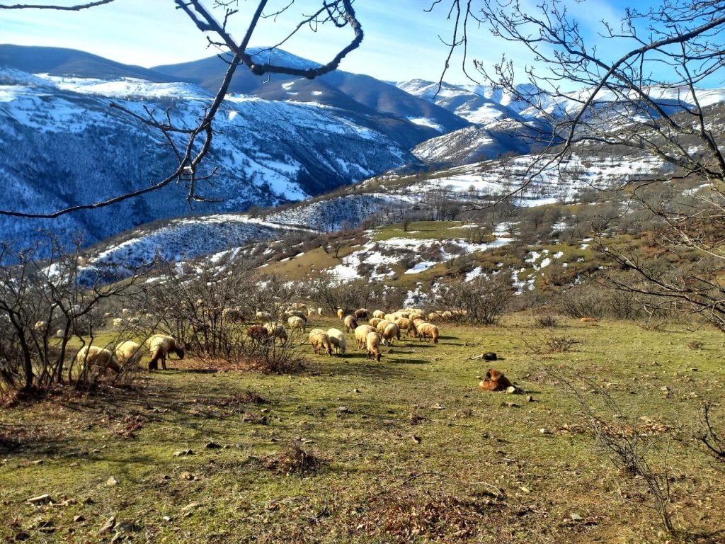 سمنان چت - چت روم سمنان گپ - ادرس اصلی سمنان چت - چتروم سمنان - چت سمنان