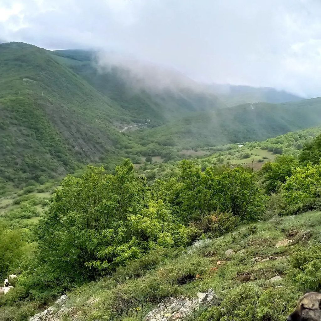 گلستان چت - گلستان گپ - ادرس جدید گلستان چت - چت روم گلستان