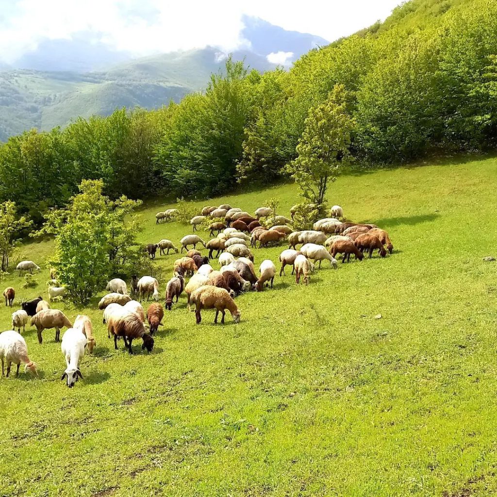 گیلان چت - چت روم گیلان گپ - ادرس جدید گیلان چت - ورود به گیلان چت - چت گیلان