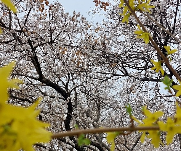 خوزستان چت - چت روم خوزستان - چت خوزستان - چت روم فارسی