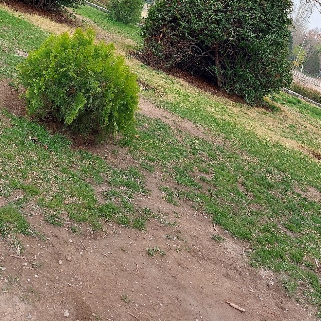 زنبق چت - چت روم زنبق - چت زنبق - چت فارسی - پرشین چت