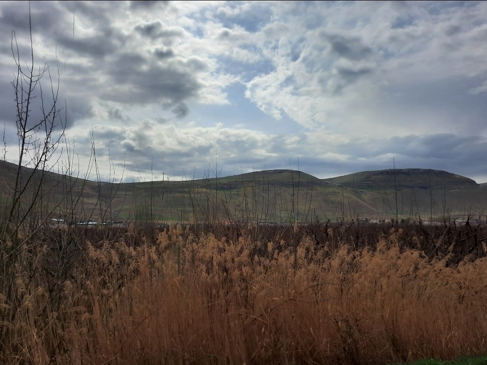 اهواز چت - میهن چت - چت فارسی - چت روم فارسی - چت میهن