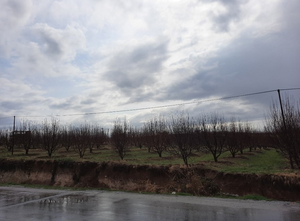 چت روم جنوب - چت جنوبی ها - میهن چت - چت باران - چت - چت روم