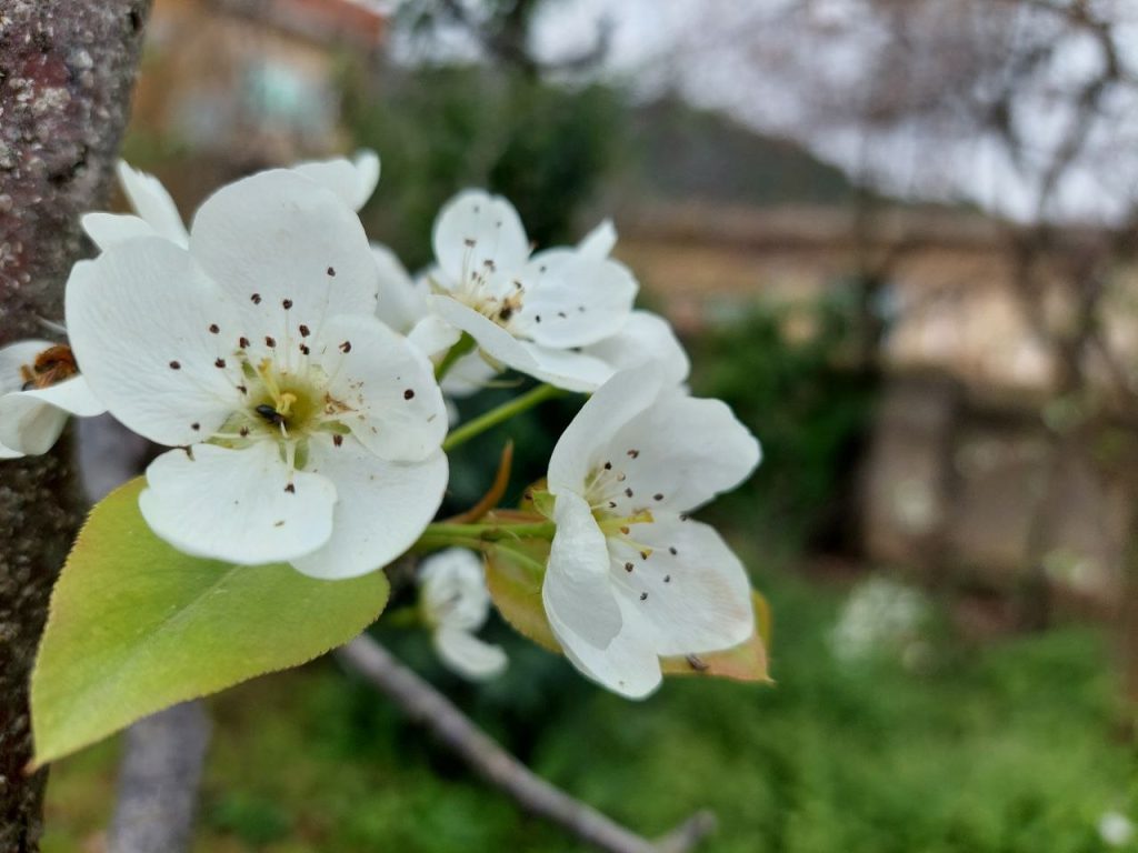 ازاد چت - چت روم ازاد - چت ازاد - چت فارسی - ایران چت